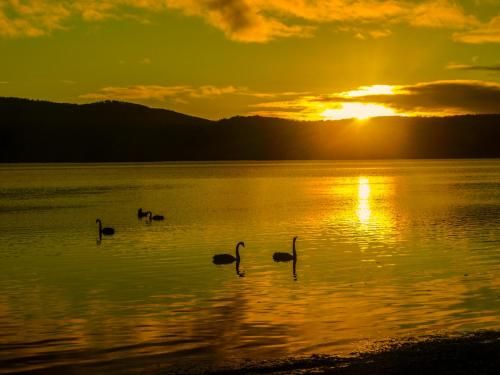 Outdoor Pictures 17