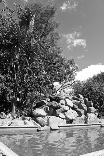 Outdoor Pictures 13