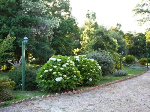 Outdoor Pictures 20