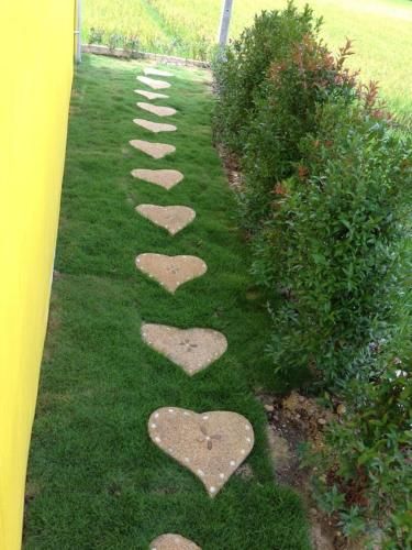 Outdoor Pictures 11