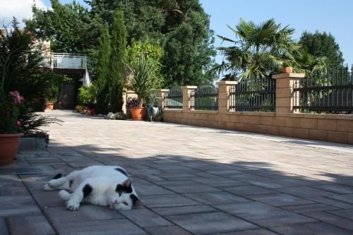 Outdoor Pictures 20