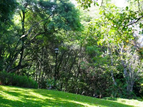 Outdoor Pictures 22