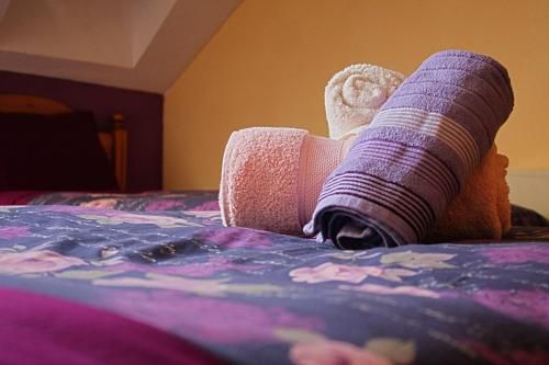 Hostal Alto Aragon