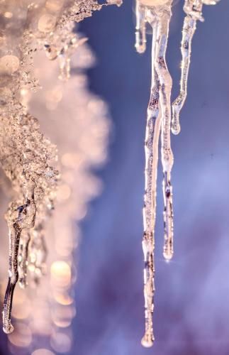 Outdoor Pictures 15