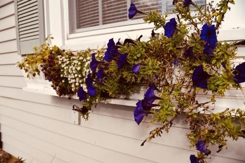 Outdoor Pictures 15