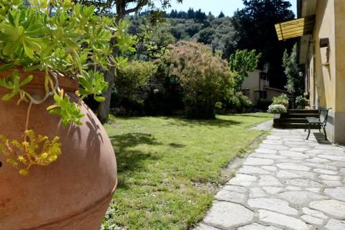 Outdoor Pictures 22