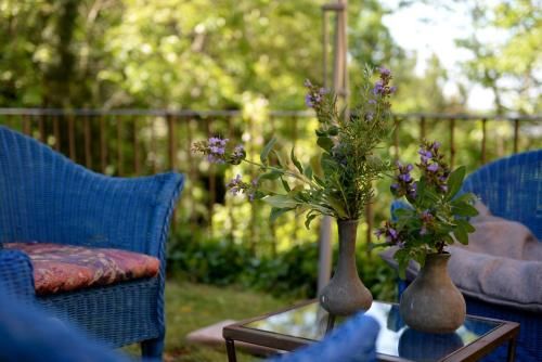 Outdoor Pictures 20