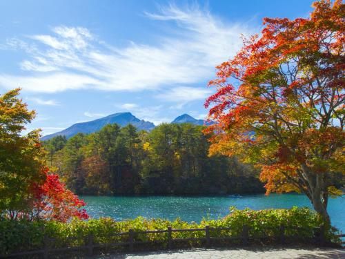 Outdoor Pictures 21