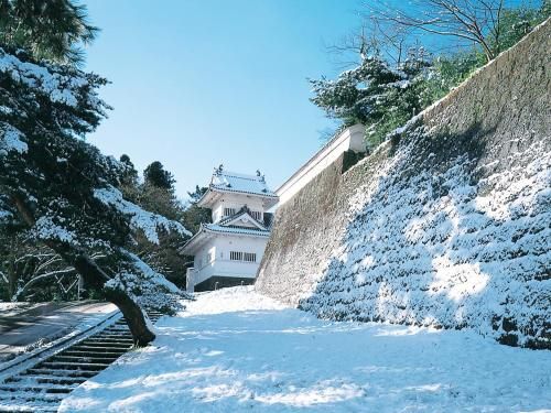 Outdoor Pictures 24