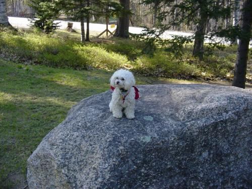 Outdoor Pictures 16