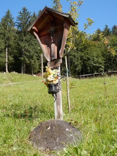 Outdoor Pictures 22