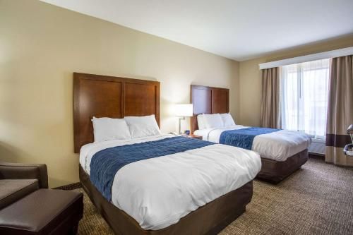 Comfort Inn & Suites Baton Rouge Airport