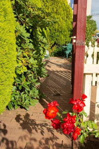 Outdoor Pictures 21