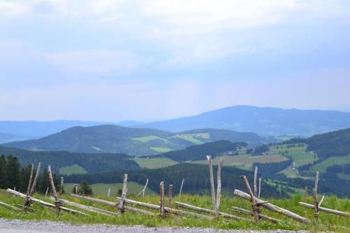 Outdoor Pictures 24