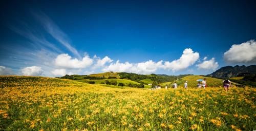 Outdoor Pictures 22
