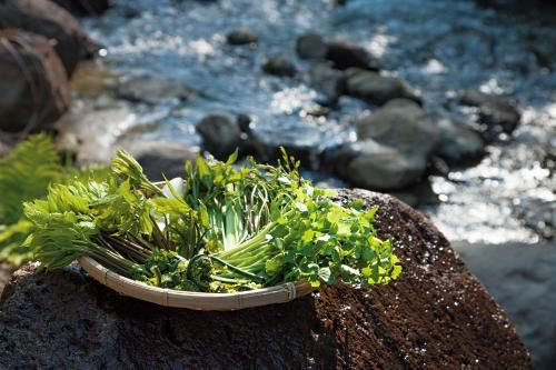 Outdoor Pictures 23