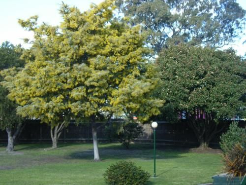 Outdoor Pictures 22