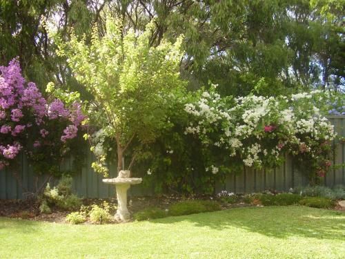 Outdoor Pictures 20