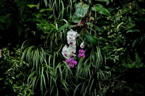 Outdoor Pictures 22