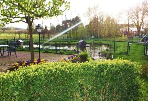 Outdoor Pictures 20