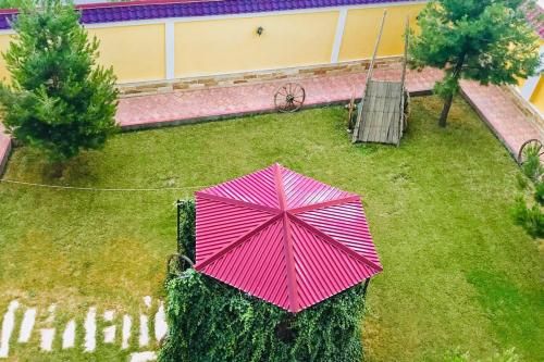 Outdoor Pictures 24