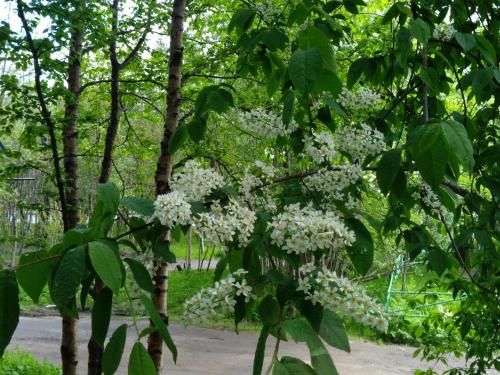 Outdoor Pictures 24