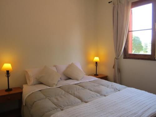 El Arbol Hostel