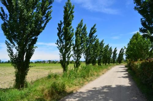Outdoor Pictures 22