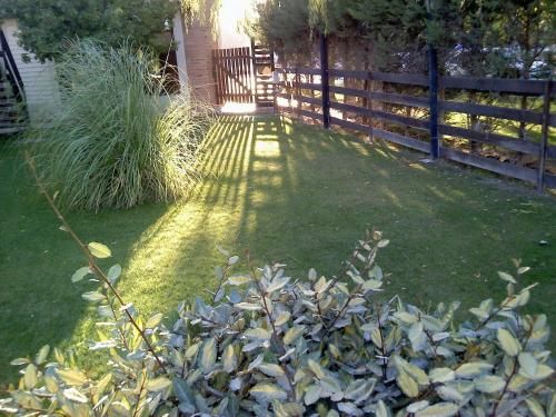 Outdoor Pictures 22