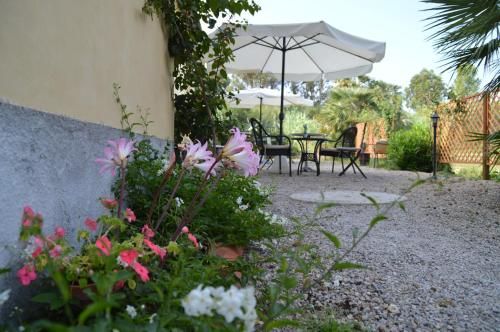 Outdoor Pictures 21