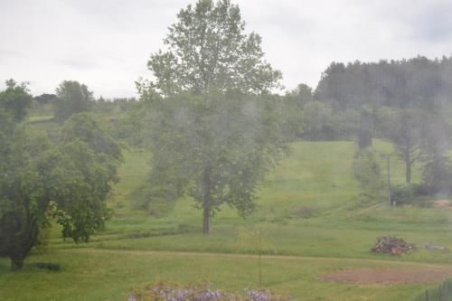 Outdoor Pictures 22