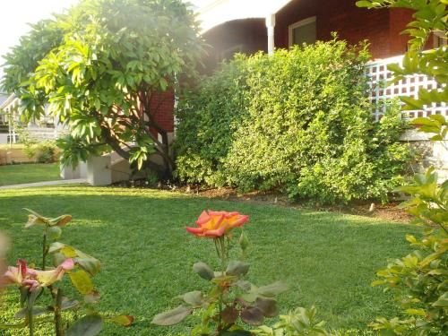 Outdoor Pictures 21