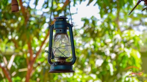 Outdoor Pictures 22