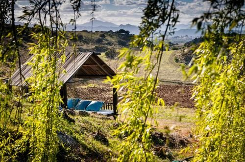 Outdoor Pictures 24