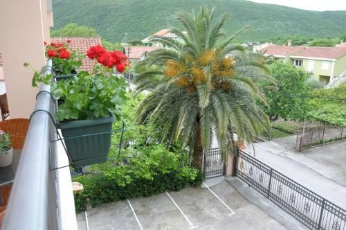 Outdoor Pictures 6
