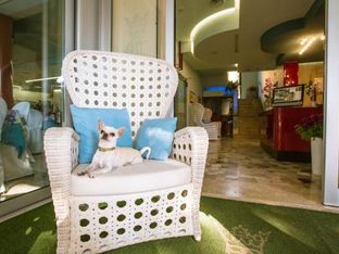 Hotel Image 5