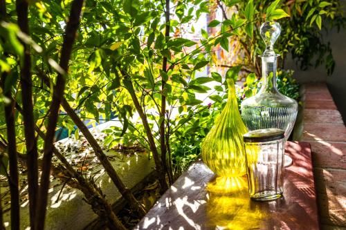 Outdoor Pictures 24