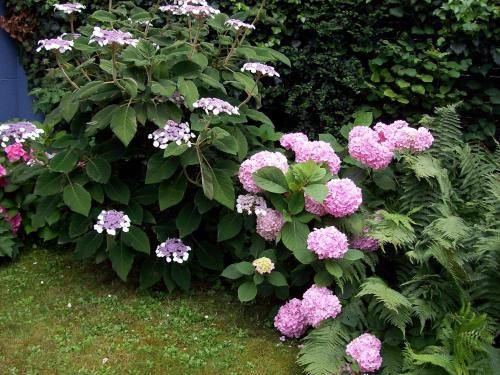 Outdoor Pictures 14