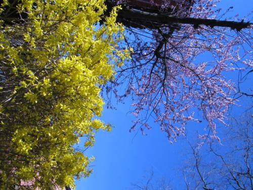Outdoor Pictures 17