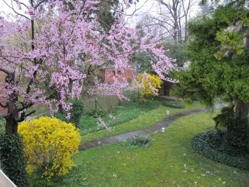 Outdoor Pictures 10