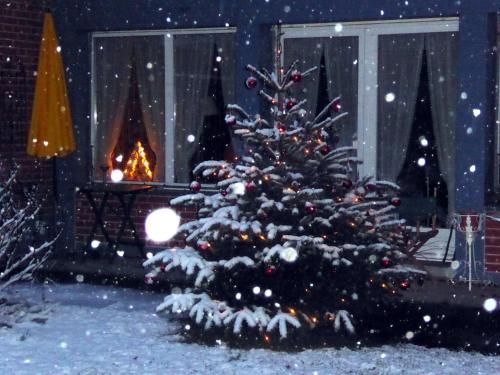 Outdoor Pictures 24