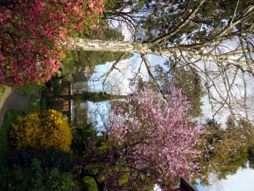 Outdoor Pictures 9
