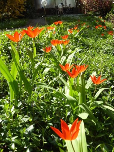 Outdoor Pictures 11