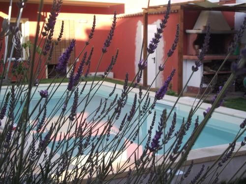 Outdoor Pictures 1