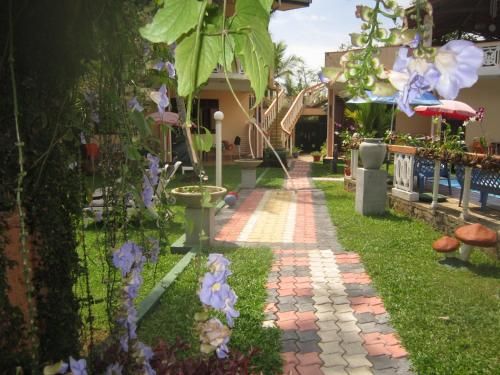 Outdoor Pictures 24