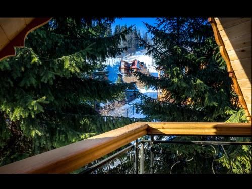Outdoor Pictures 24