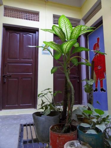 Outdoor Pictures 7