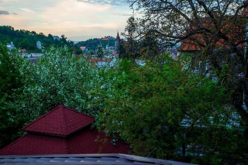 Outdoor Pictures 21
