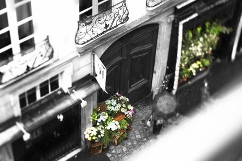 Outdoor Pictures 1
