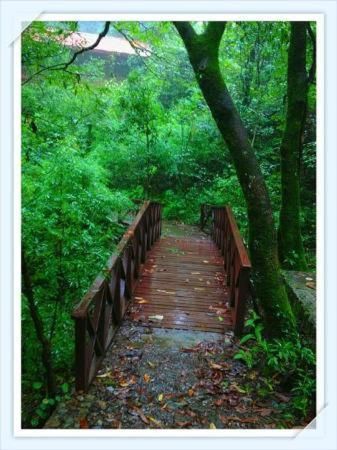 Outdoor Pictures 17